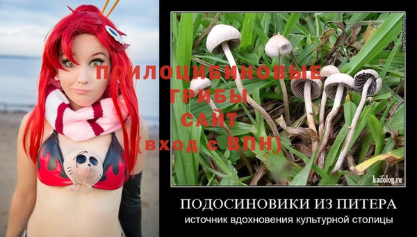 индика Наволоки