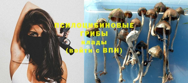 индика Наволоки