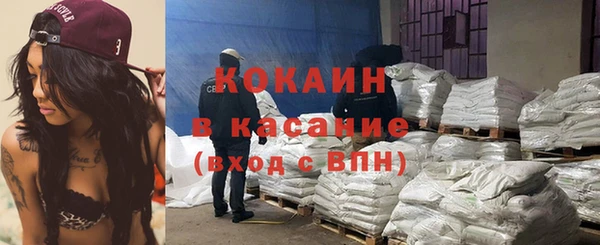 индика Наволоки