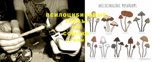 прущая мука Навашино