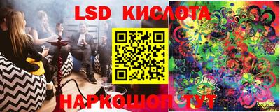 молекула духа Донецк
