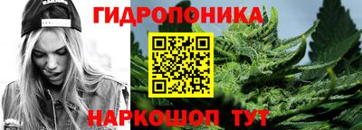 молекула духа Донецк