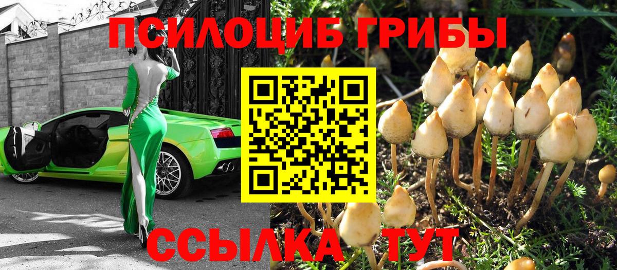 Копейск  Галлюциногенные грибы мухоморы  Вход с VPN 