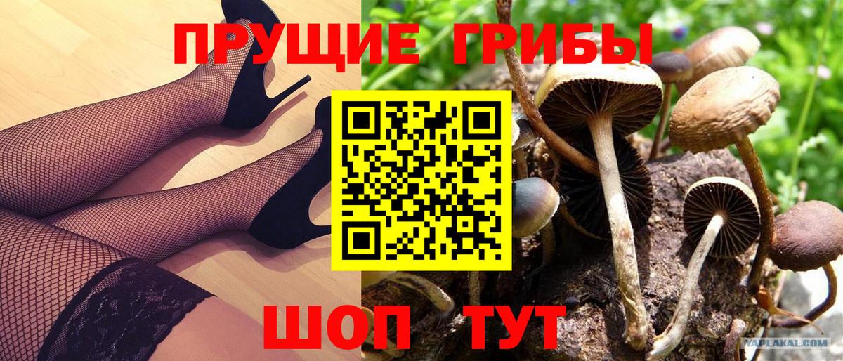Псилоцибиновые грибы MAGIC MUSHROOMS Копейск